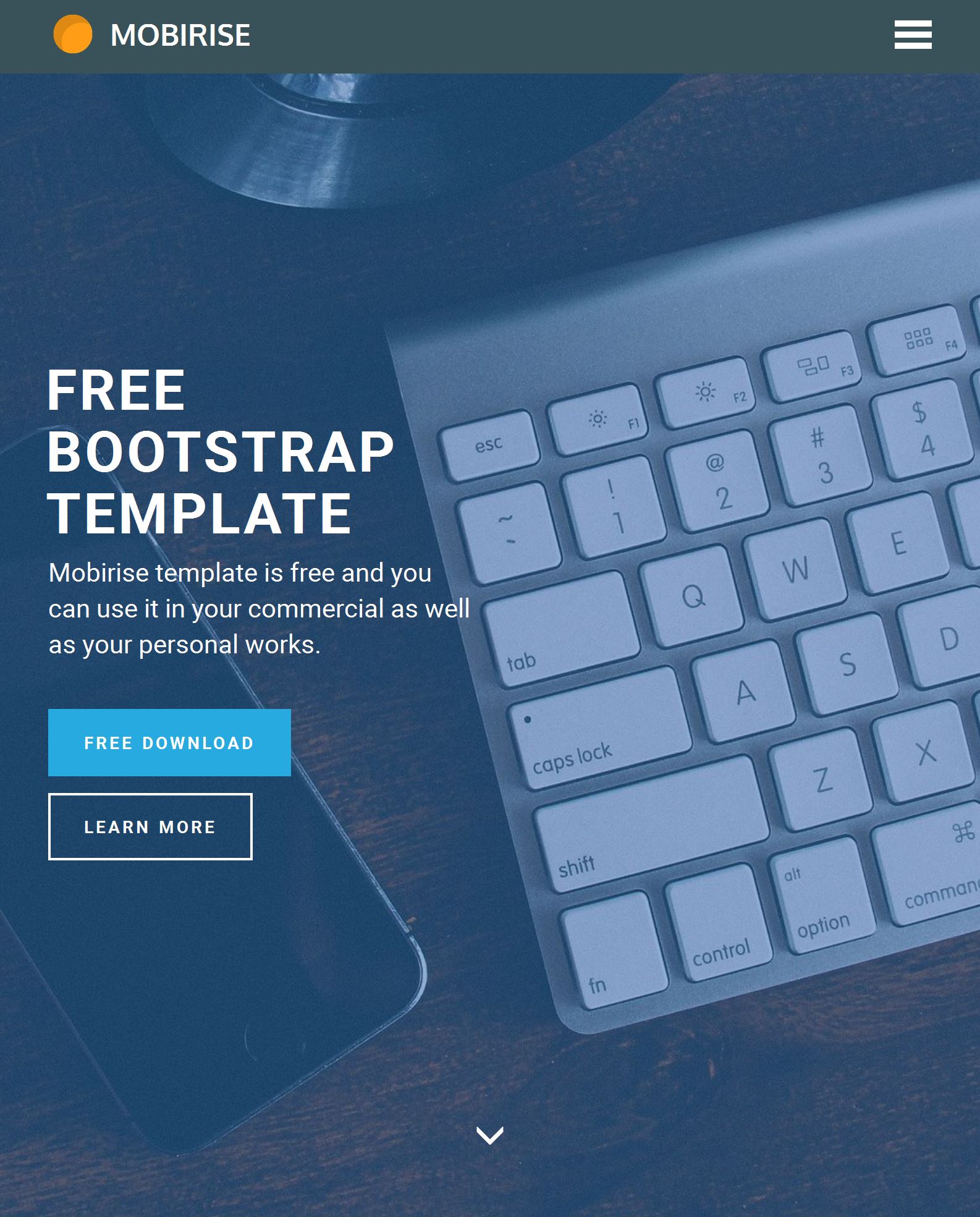 Basic Bootstrap Template