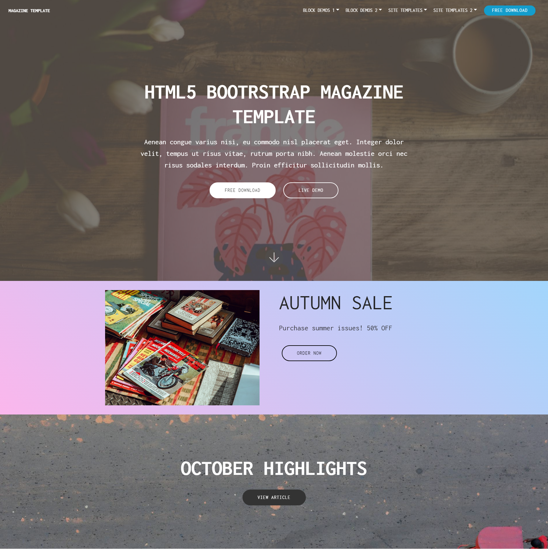 Free Bootstrap Magazine Themes