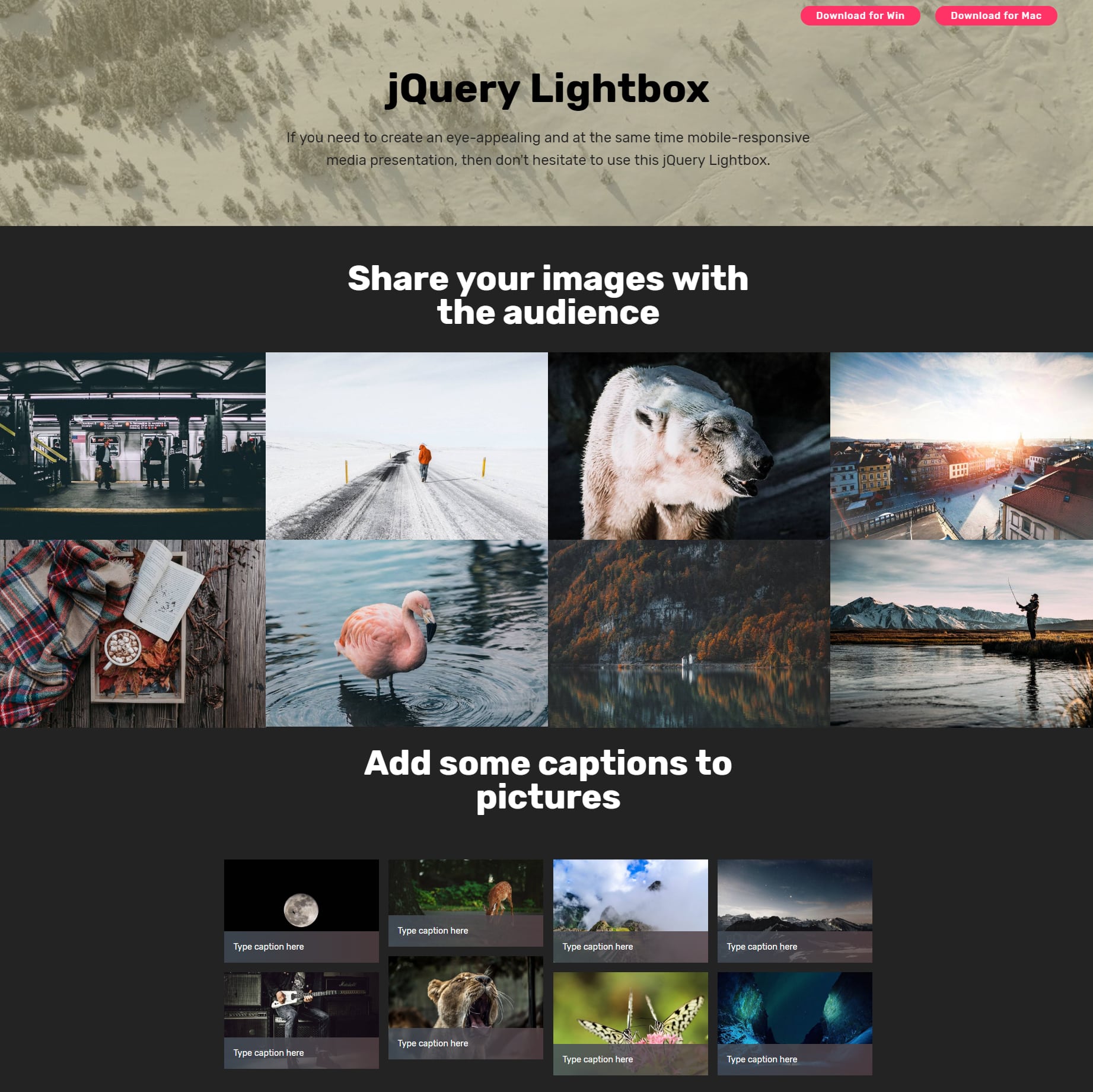 Free Bootstrap Photo Gallery